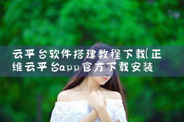 云平台软件搭建教程下载|MR好色