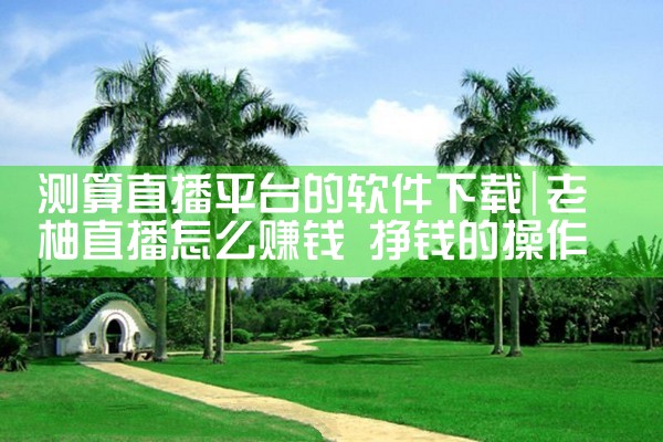 测算直播平台的软件下载|P站专业版