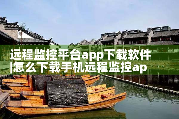 远程监控平台app下载软件|P站专业版