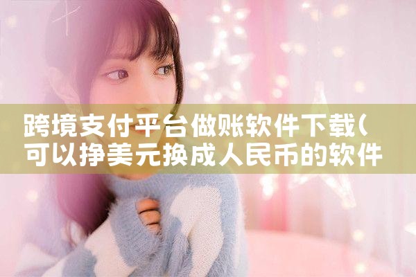 跨境支付平台做账软件下载|MR好色