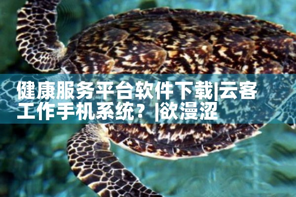 健康服务平台软件下载|欲漫涩