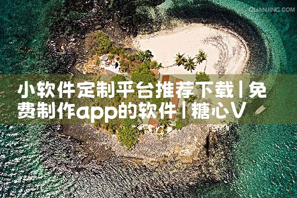 小软件定制平台推荐下载|糖心Vlog