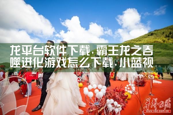 龙平台软件下载|小蓝视频