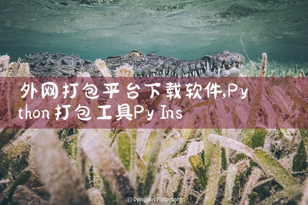 外网打包平台下载软件|糖心Vlog